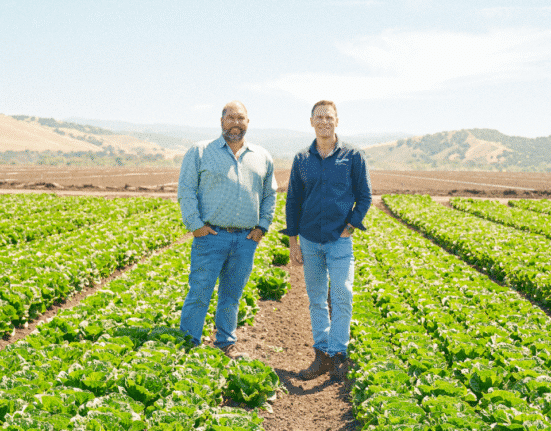 The Reservoir signs long-term lease for 40 acres in Salinas, California, in partnership with Tanimura & Antle