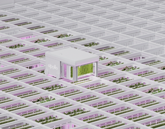 OnePointOne, in partnership with AutoStore, introduced Opollo Farm, a fully automated vertical farming platform situated just outside Phoenix
