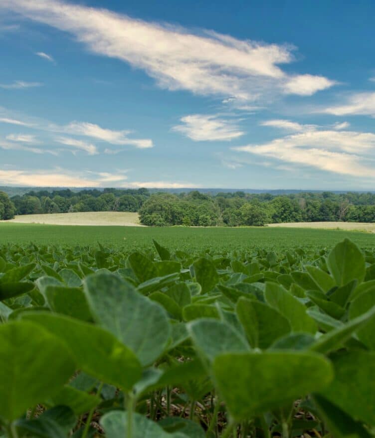 US Agriculture, LLC teams up with CeresAI to enhance monitoring and management of institutional farmland investments.