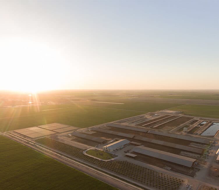Dairy Cares and California’s dairy sector report a collective annual reduction of 5 million metric tons CO₂e in methane emissions.