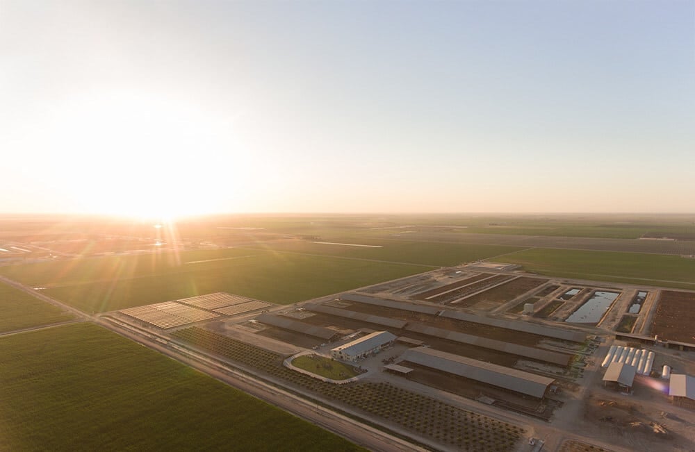 Dairy Cares and California’s dairy sector report a collective annual reduction of 5 million metric tons CO₂e in methane emissions.