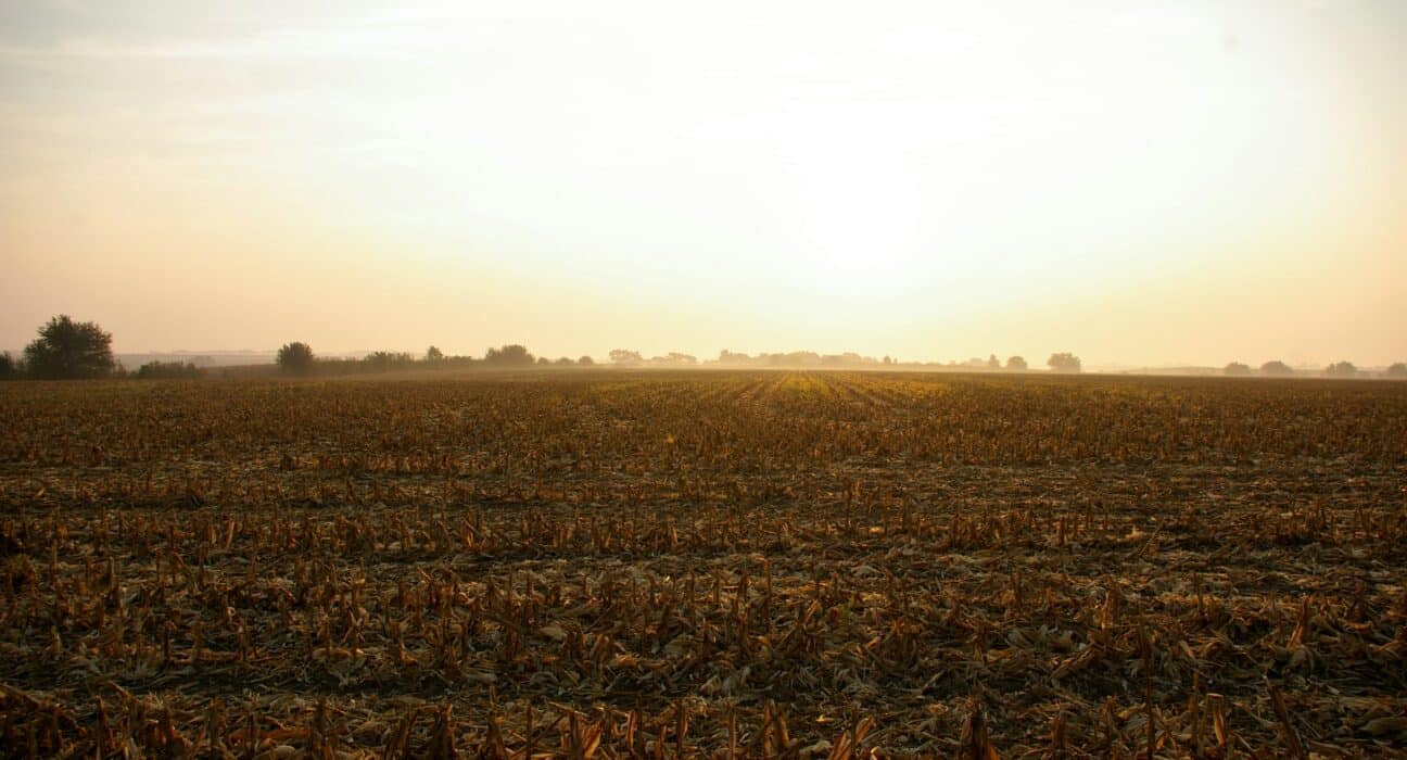 The Corn Refiners Association (CRA) has welcomed the bipartisan reintroduction of the Ag BIO Act in the 119th Congress