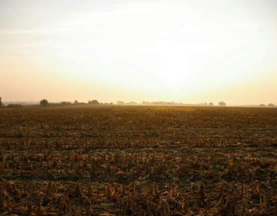 The Corn Refiners Association (CRA) has welcomed the bipartisan reintroduction of the Ag BIO Act in the 119th Congress