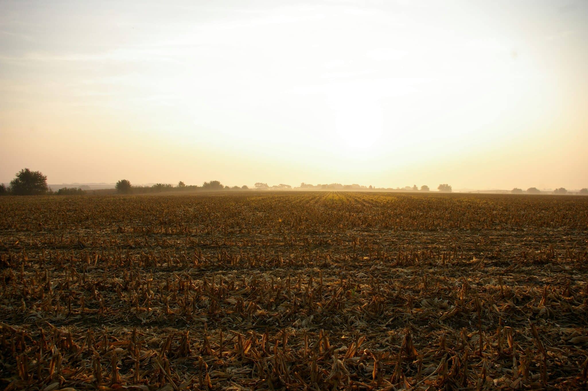 The Corn Refiners Association (CRA) has welcomed the bipartisan reintroduction of the Ag BIO Act in the 119th Congress