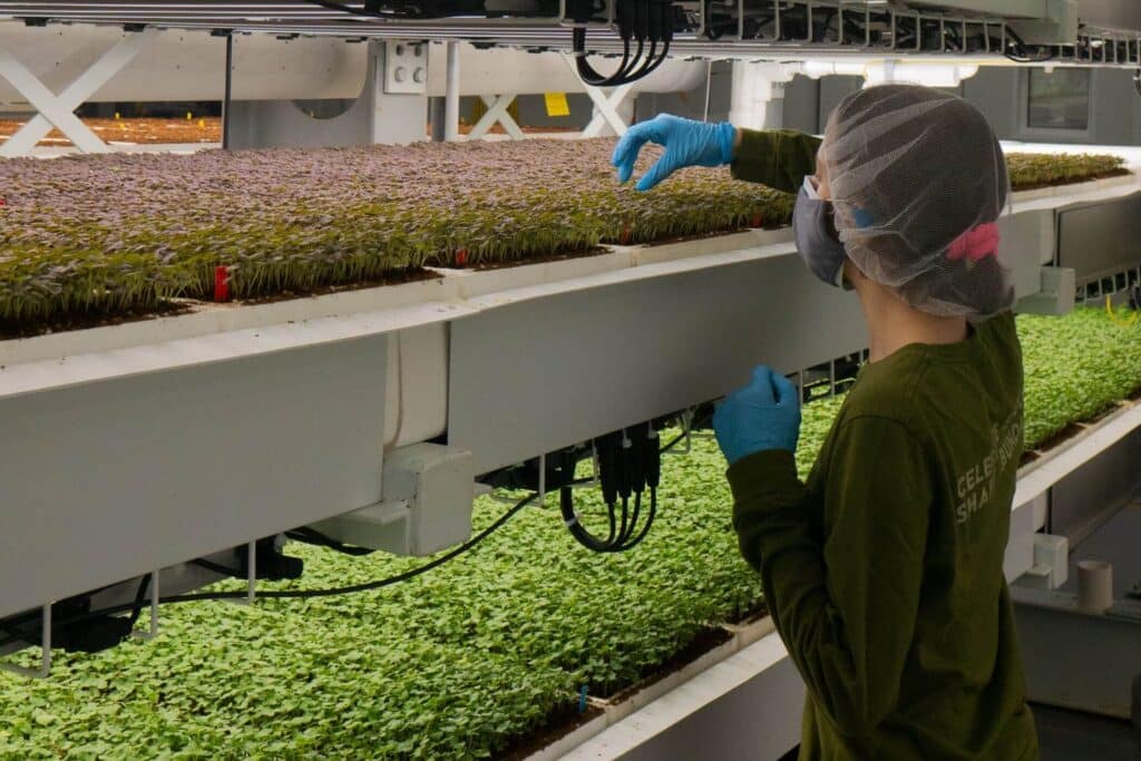 Upward Farms Inside