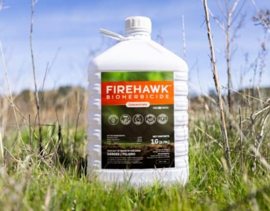 FireHawk Bioherbicide™ is now officially approved by California’s Department of Pesticide Regulation (DPR) for sale in the state.