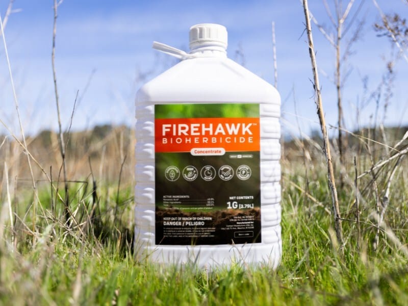 FireHawk Bioherbicide™ is now officially approved by California’s Department of Pesticide Regulation (DPR) for sale in the state.