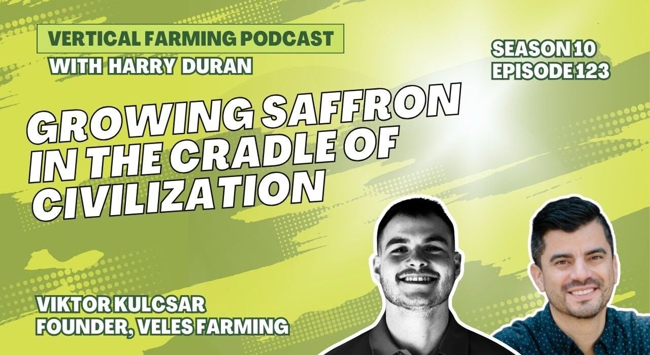 Viktor Kulcsar, CEO and Co-Founder of Veles Farming, is pioneering indoor saffron production in Slovakia using vertical farming.