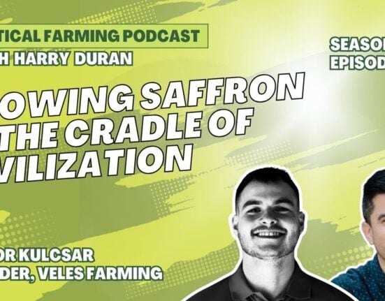 Viktor Kulcsar, CEO and Co-Founder of Veles Farming, is pioneering indoor saffron production in Slovakia using vertical farming.