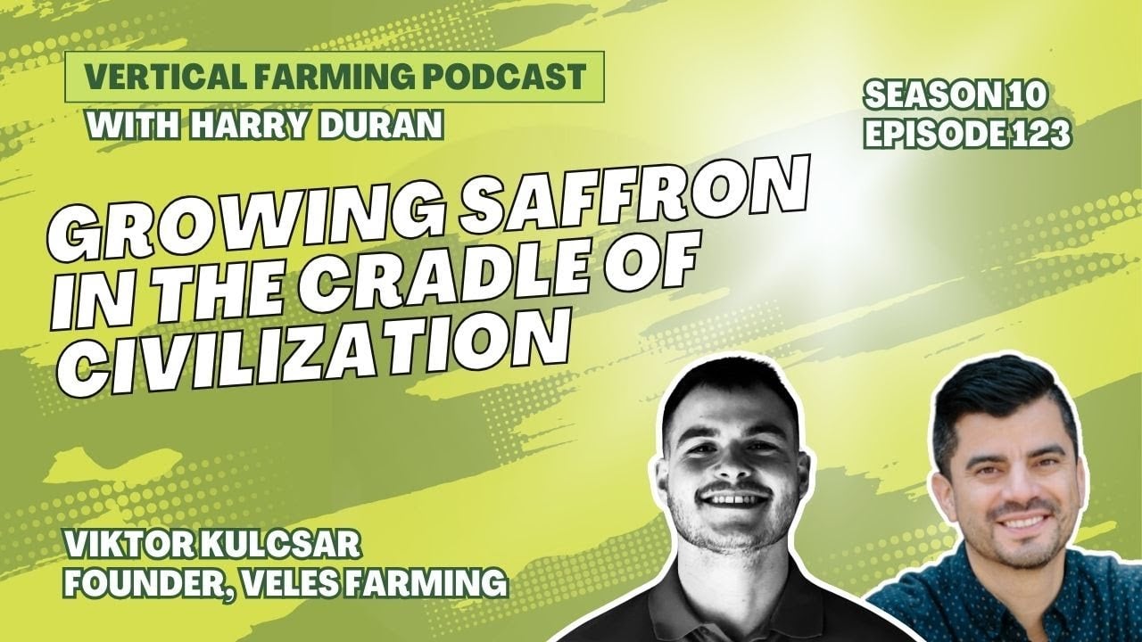 Viktor Kulcsar, CEO and Co-Founder of Veles Farming, is pioneering indoor saffron production in Slovakia using vertical farming.