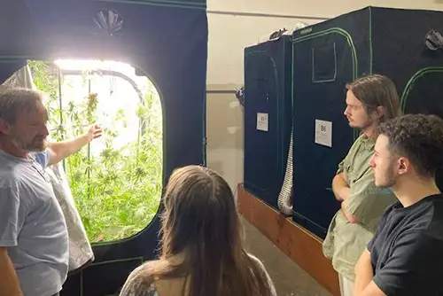Saluna, a St. Louis-based agricultural technology startup specializing in hemp, has chosen Southeast Missouri State University’s Sikeston campus as the site of its first major expansion.