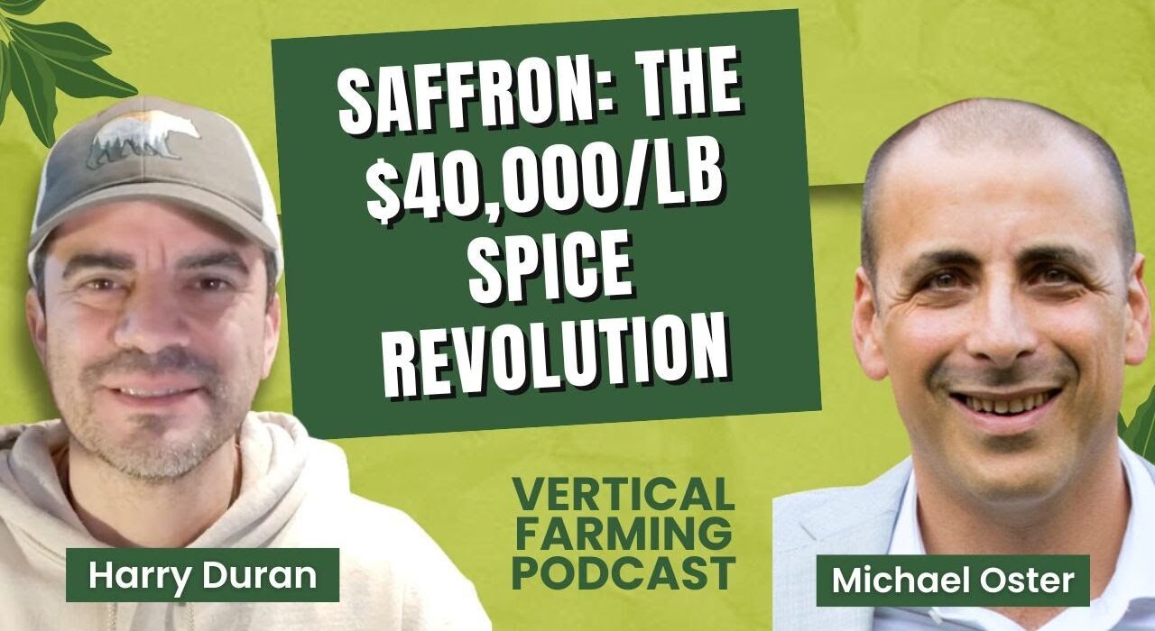 Michael Oster, CEO of Saffron Tech, discussed his entry into agriculture after more than two decades in energy and real estate.