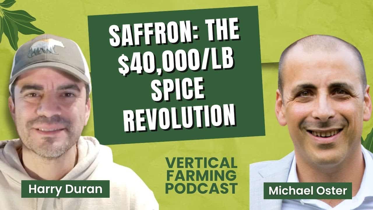 Michael Oster, CEO of Saffron Tech, discussed his entry into agriculture after more than two decades in energy and real estate.
