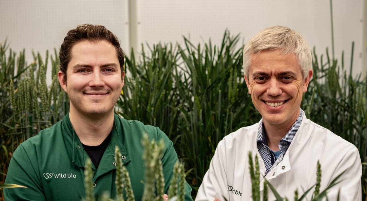 Wild Bioscience raises $60M Series A led by the Ellison Institute to expand its AI-driven precision breeding for climate-resilient crops.
