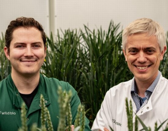 Wild Bioscience raises $60M Series A led by the Ellison Institute to expand its AI-driven precision breeding for climate-resilient crops.
