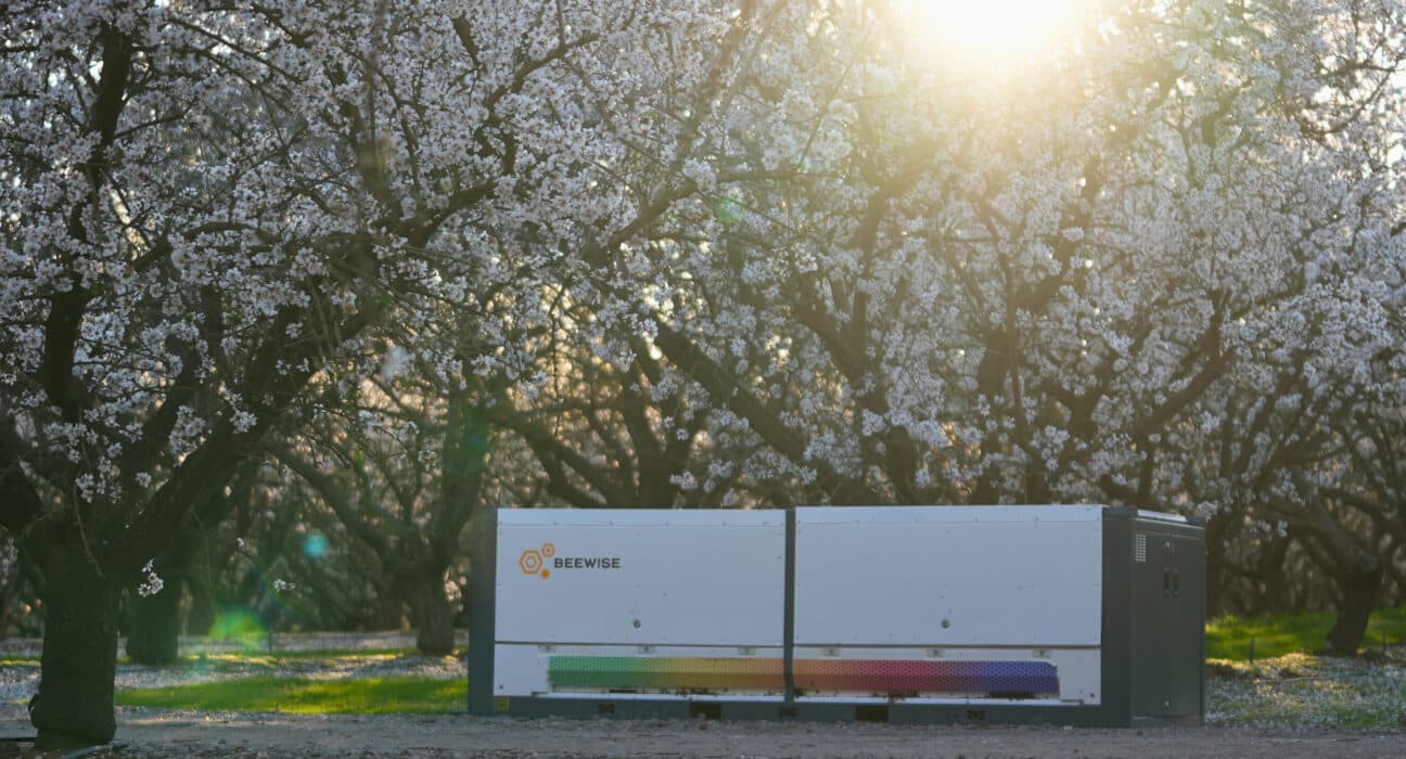 Beewise, the climate technology company behind the autonomous beehive system BeeHome™, announced the close of a $50 million Series D growth investment.