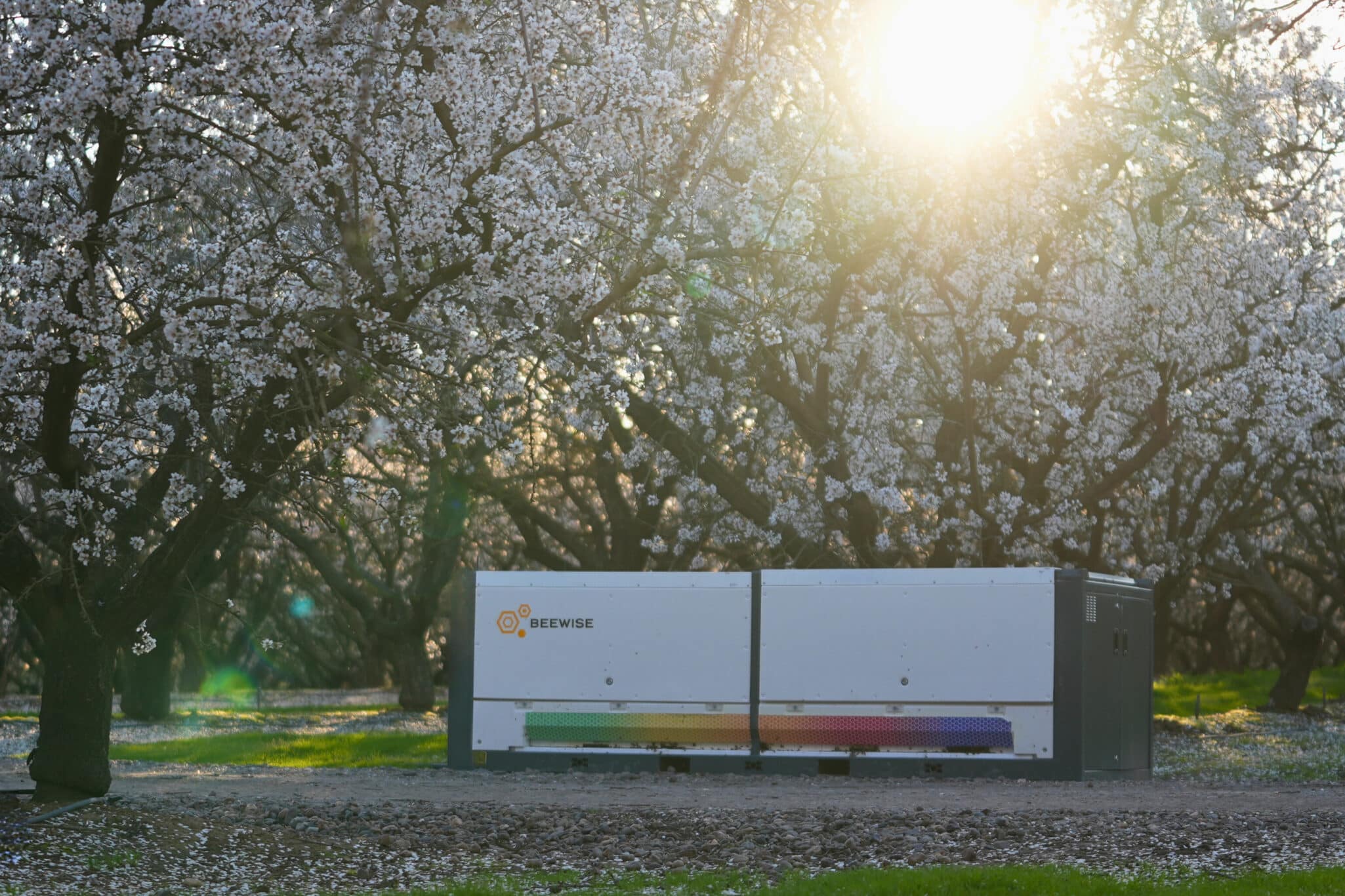 Beewise, the climate technology company behind the autonomous beehive system BeeHome™, announced the close of a $50 million Series D growth investment.