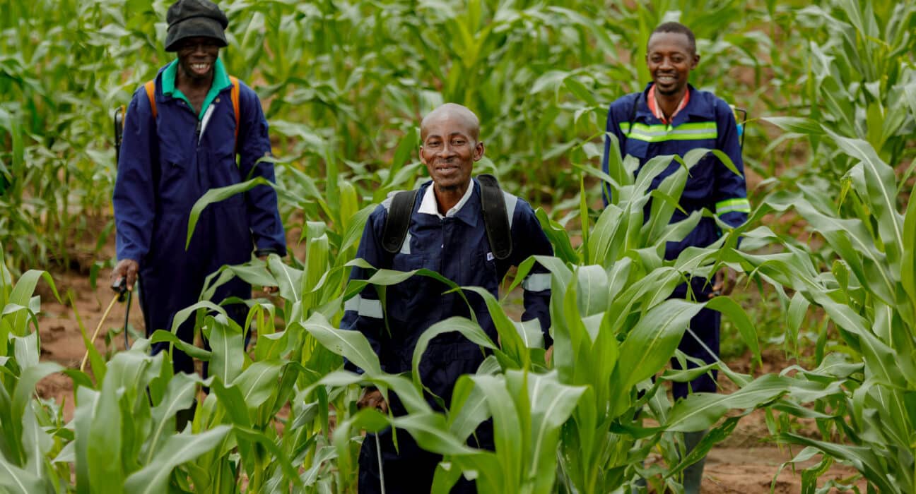 Complete Farmer uses satellite imagery, AI, and soil data APIs to guide smallholder and commercial farmers.