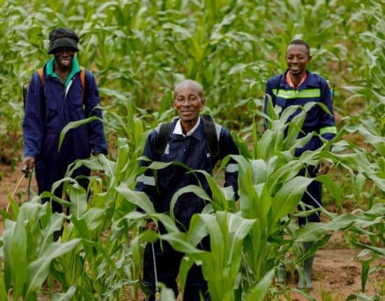 Complete Farmer uses satellite imagery, AI, and soil data APIs to guide smallholder and commercial farmers.