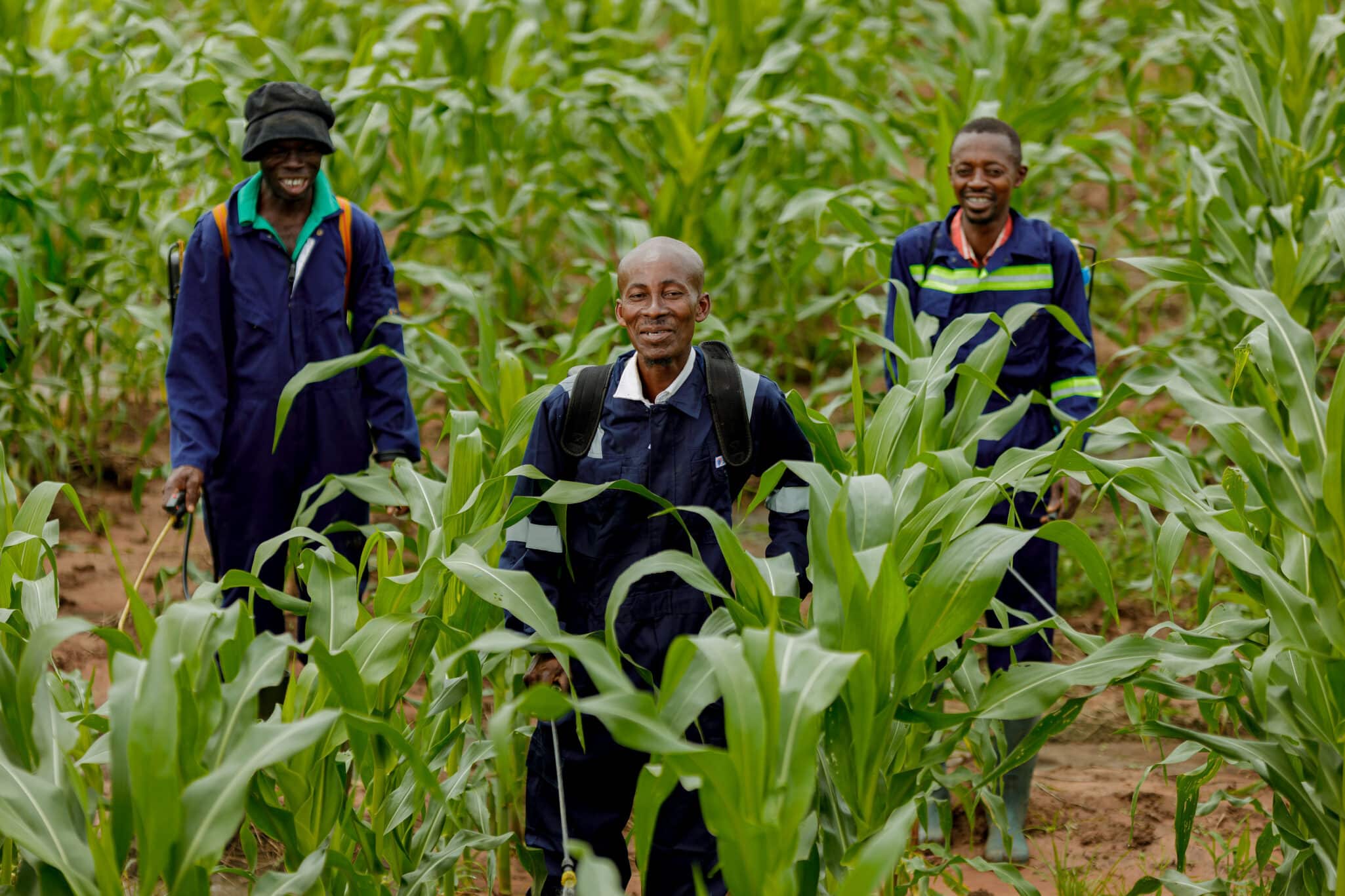 Complete Farmer uses satellite imagery, AI, and soil data APIs to guide smallholder and commercial farmers.