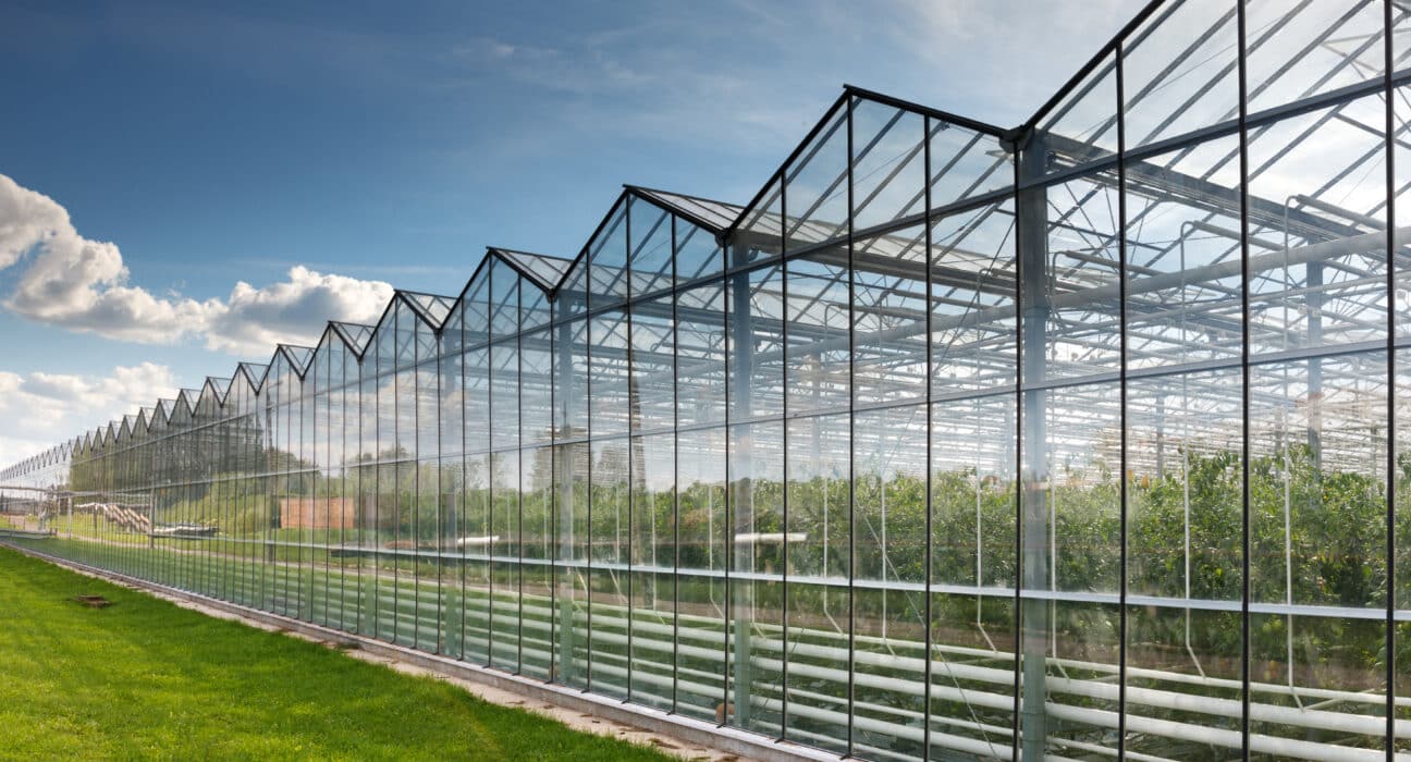 Bloemteknik Limited has secured an Innovate UK-supported research and development project valued at more than £707,000.