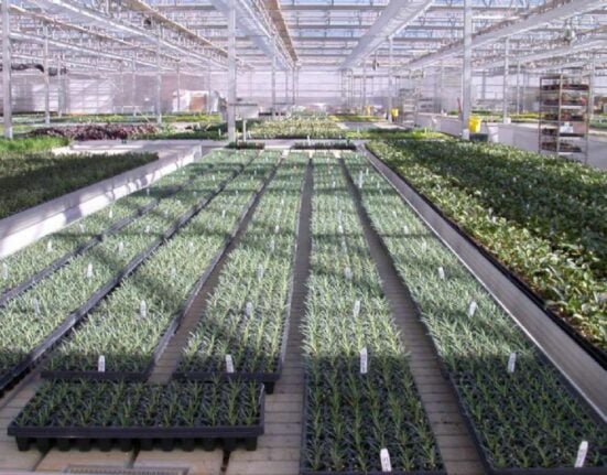 Riverbend Nursery Holdings, LLC has officially acquired James Greenhouses, Inc., a Georgia-based producer of perennial liners for wholesale growers across the United States.