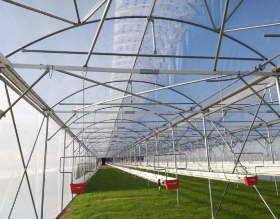 Rovero Systems, the Dutch greenhouse manufacturer, has opened a new office in the United Arab Emirates (UAE) to provide locally adapted greenhouse and shading solutions.