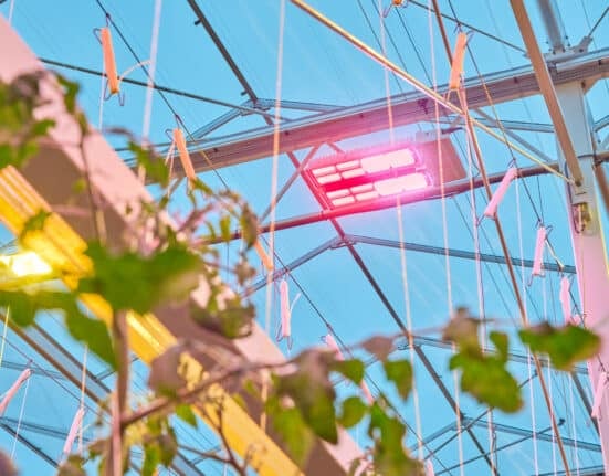 Signify introduces new 4-channel Philips GreenPower toplighting force (TLF) LEDs in 800W and 1040W models