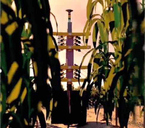 PowerPollen’s autonomous, AI-powered ground fleet delivers precision pollen application for commercial corn production—right-sized for any field, from small plots to large acreage.