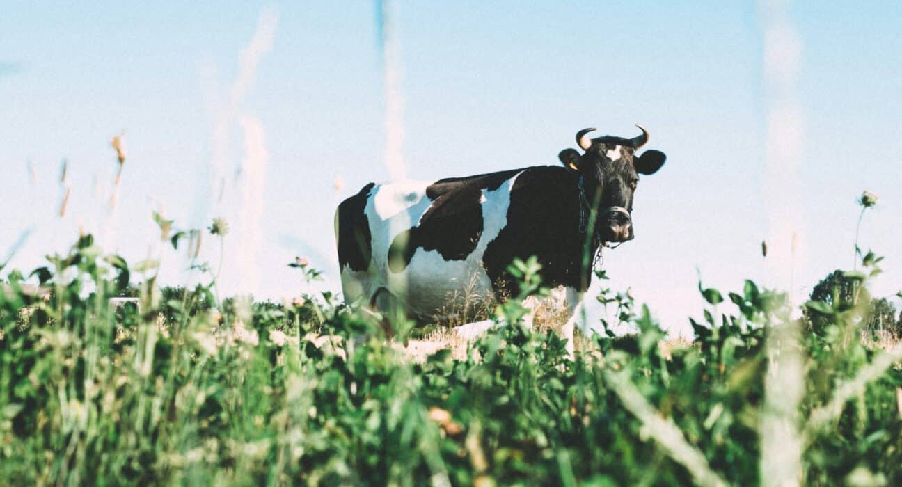 Tamarack Biotics' TruActive® UV-based treatment accepted by U.S. Food and Drug Administration (FDA) as meeting pasteurization standards