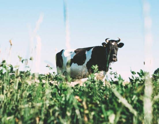 Tamarack Biotics' TruActive® UV-based treatment accepted by U.S. Food and Drug Administration (FDA) as meeting pasteurization standards