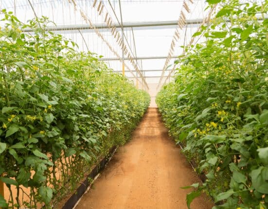 Explore the latest trends in the AgTech sector with innovations in electric and autonomous farming technologies.