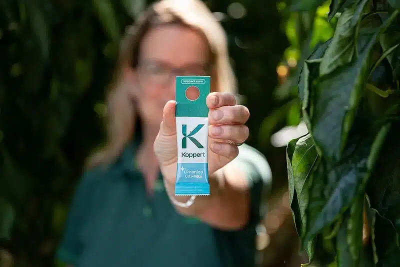 Koppert has released Limonica Ulti-Mite, a patented biological control product combining the predatory mite Amblydromalus limonicus