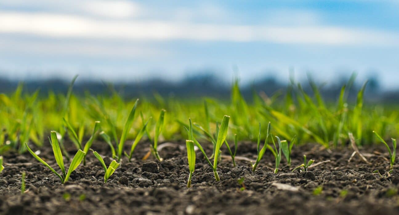 Bain & Company latest report highlights global agrifood systems require $1.1 trillion annually to achieve climate-aligned transformation, yet current funding reaches only 5% of this target.