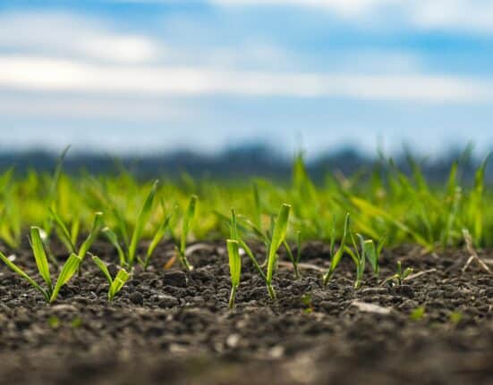 Bain & Company latest report highlights global agrifood systems require $1.1 trillion annually to achieve climate-aligned transformation, yet current funding reaches only 5% of this target.