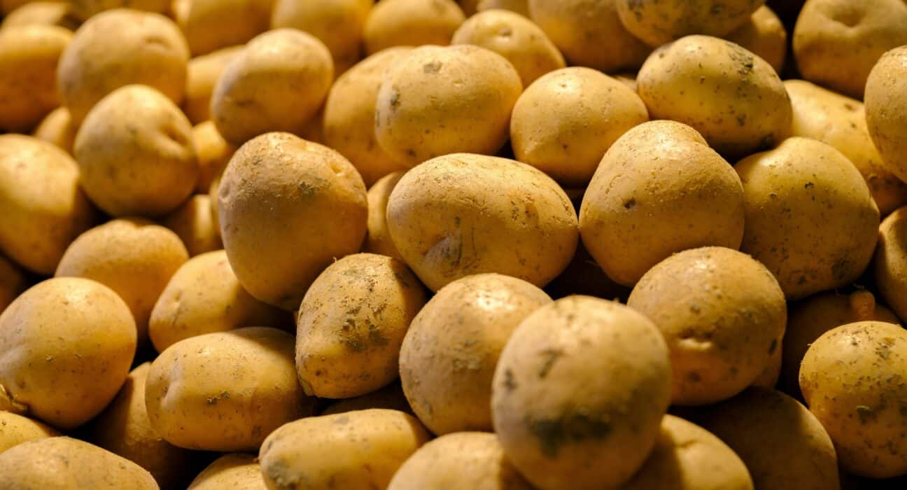 GB Potatoes joins Horticulture Crop Protection Ltd (HCP) to support crop protection applications for the British seed potato sector.