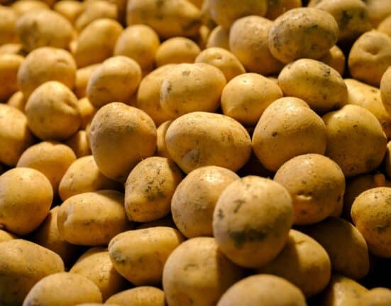 GB Potatoes joins Horticulture Crop Protection Ltd (HCP) to support crop protection applications for the British seed potato sector.