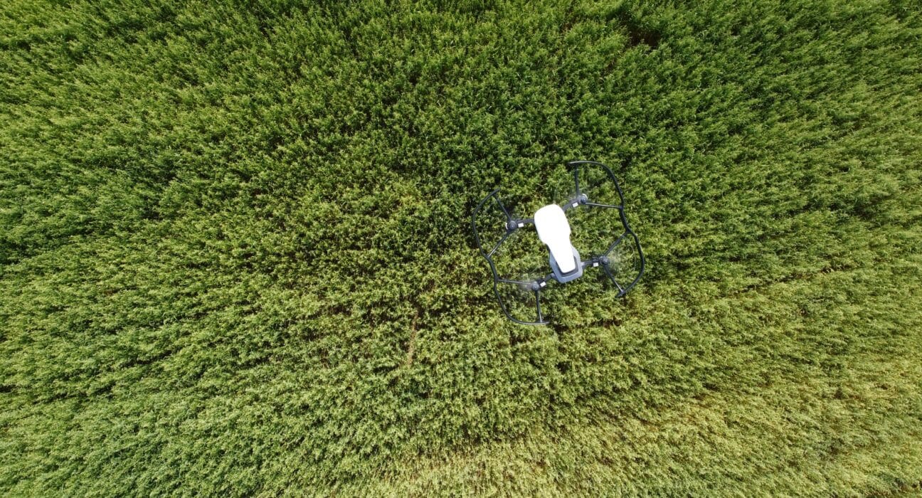 Explore the benefits of UAV crop scouting. Drones equipped with sensors offer critical data for optimizing crop health and yield.