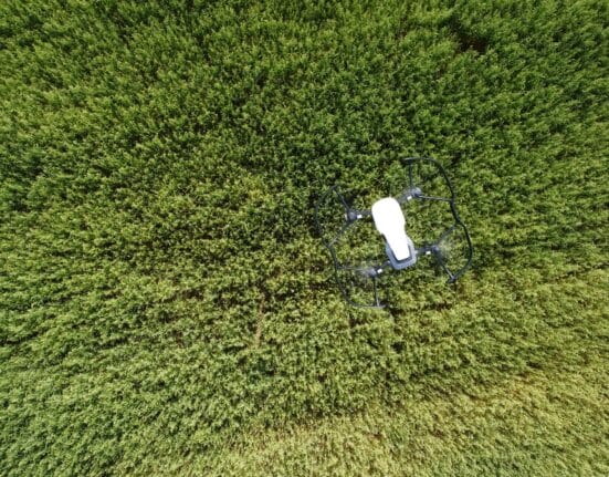 Explore the benefits of UAV crop scouting. Drones equipped with sensors offer critical data for optimizing crop health and yield.