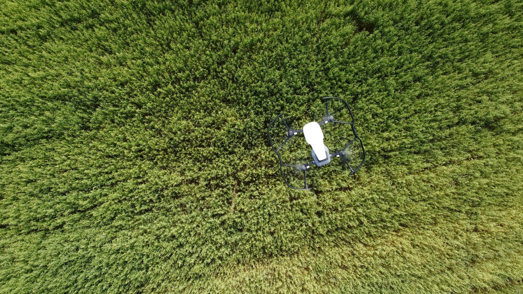 Explore the benefits of UAV crop scouting. Drones equipped with sensors offer critical data for optimizing crop health and yield.