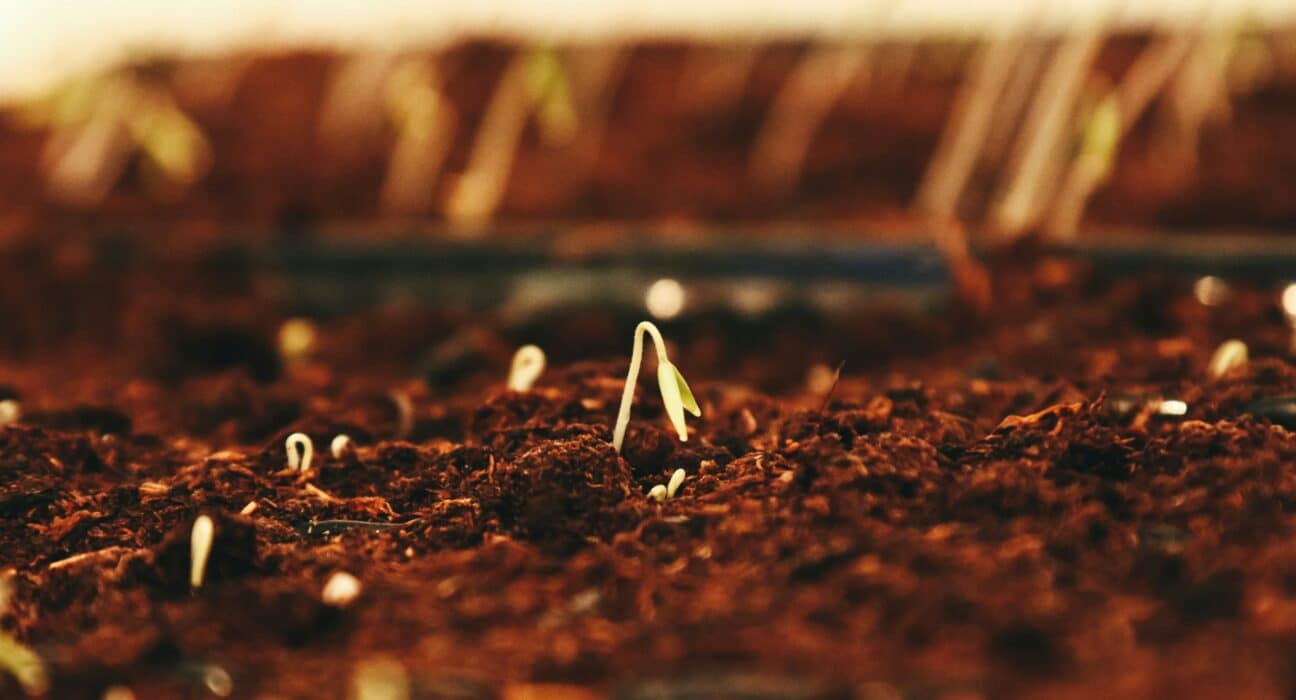 CSGA becomes a Certified Member Company of Ag Data Transparent (ADT), a third-party standard for agricultural data governance