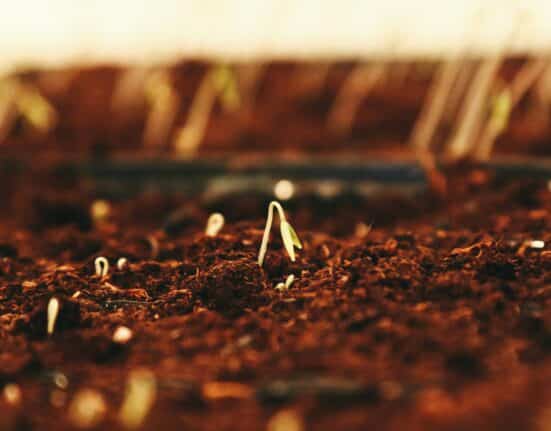 CSGA becomes a Certified Member Company of Ag Data Transparent (ADT), a third-party standard for agricultural data governance