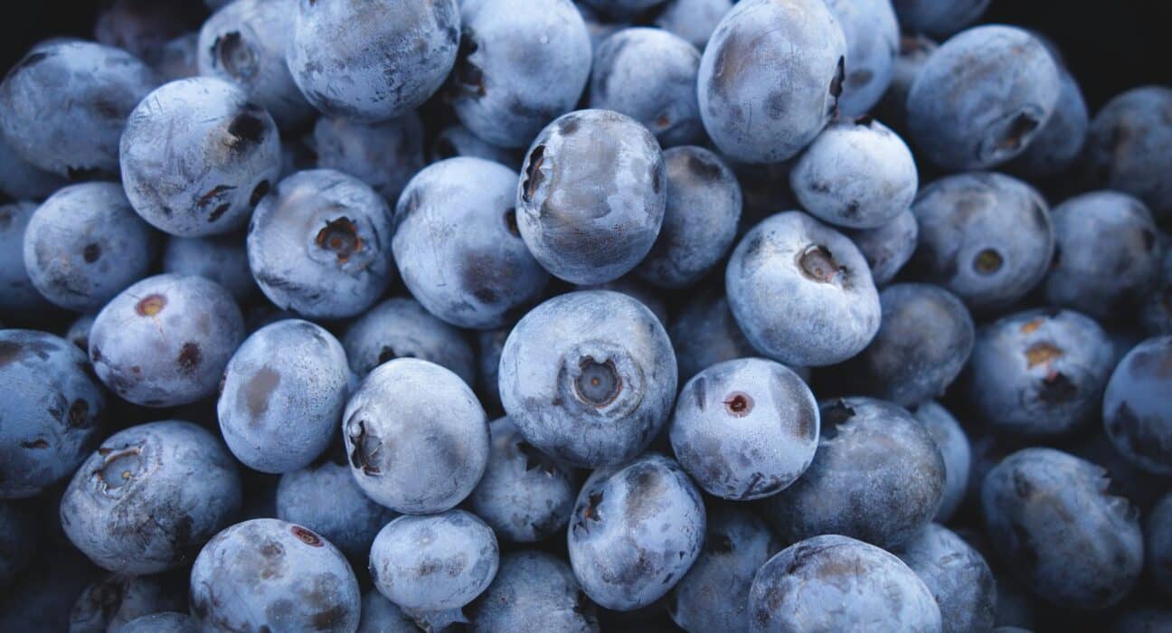 The U.S. Highbush Blueberry Council & VentureFuel introduced the Blueberry Boost Accelerator to support startups utilizing blueberries.