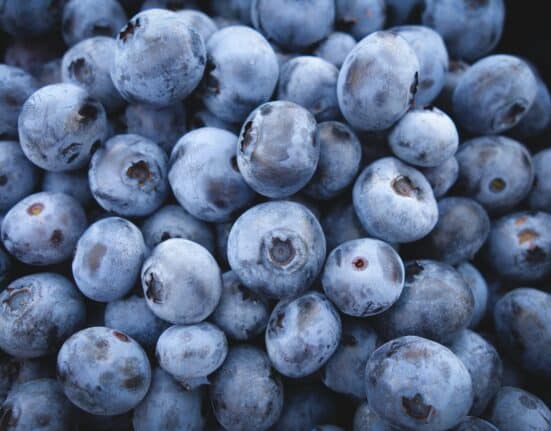 The U.S. Highbush Blueberry Council & VentureFuel introduced the Blueberry Boost Accelerator to support startups utilizing blueberries.