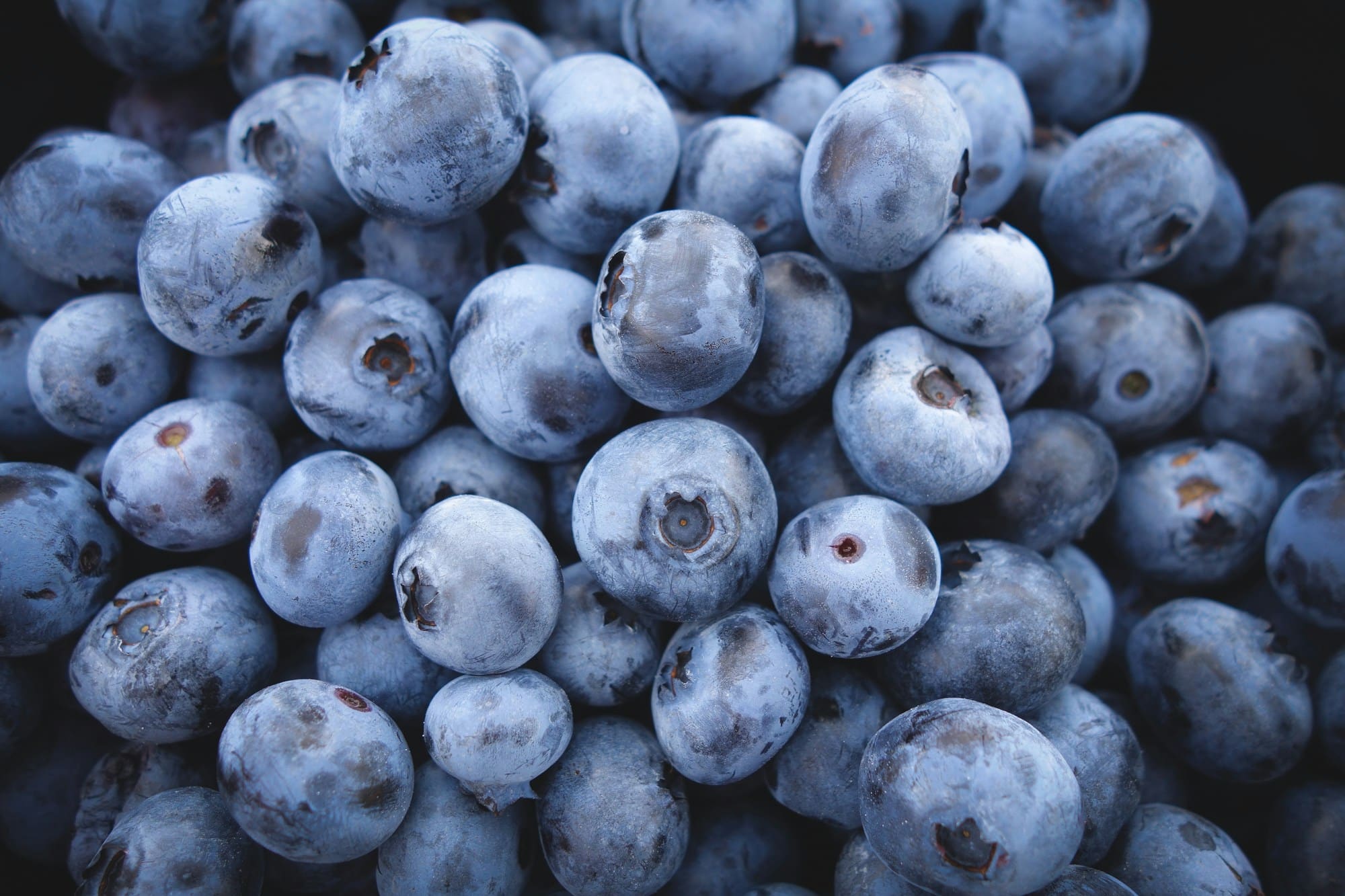 The U.S. Highbush Blueberry Council & VentureFuel introduced the Blueberry Boost Accelerator to support startups utilizing blueberries.