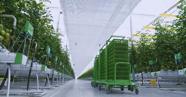 Lakeside Produce Inc. was a greenhouse produce company based in Leamington, Ontario, Canada.