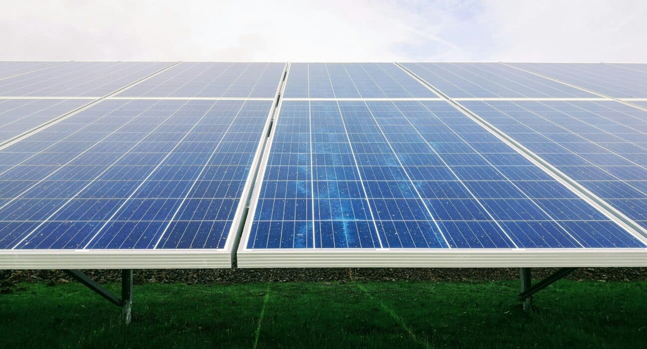 The Renewable Energy Institute