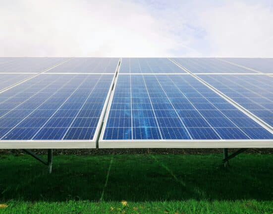 The Renewable Energy Institute