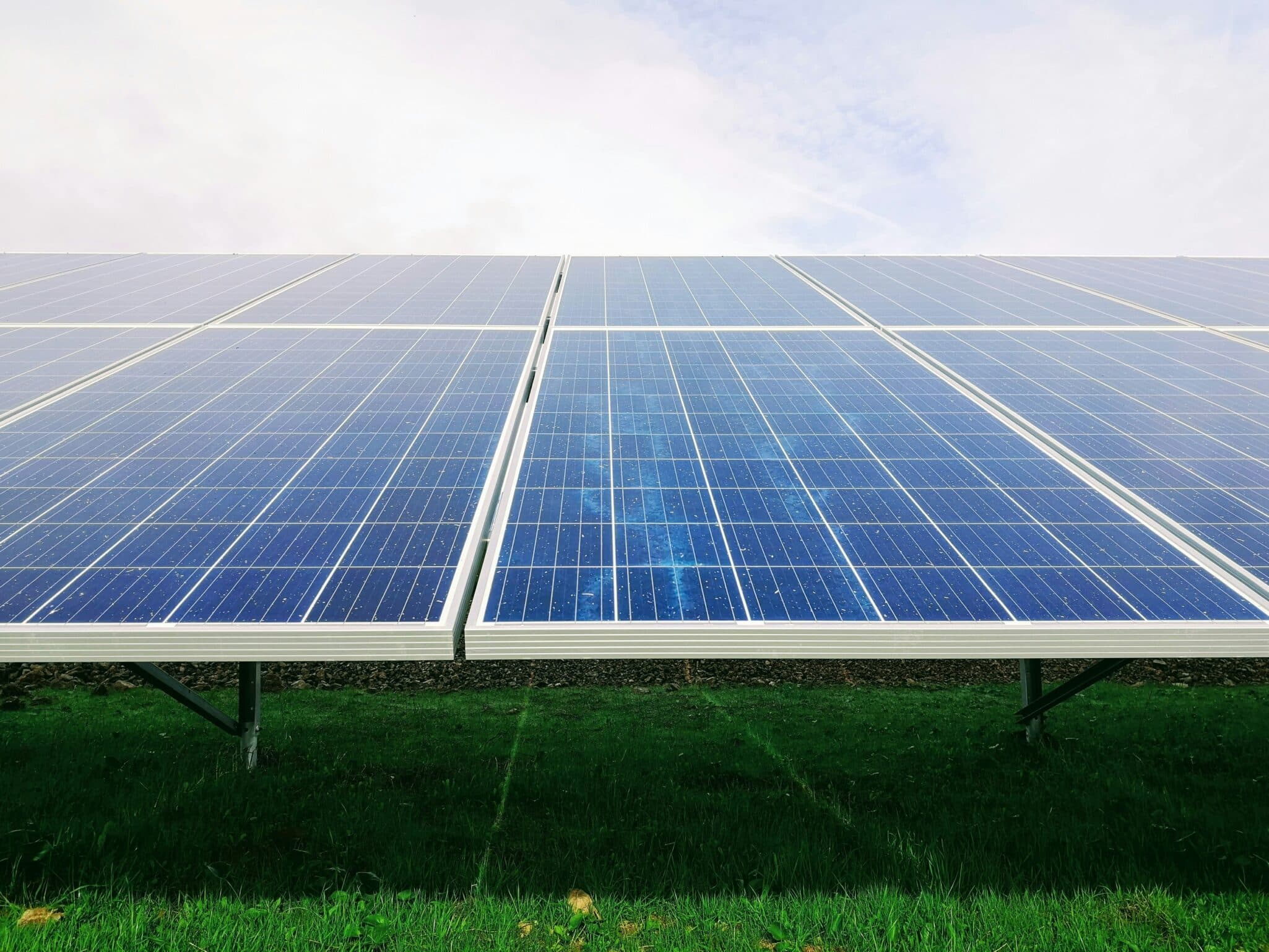The Renewable Energy Institute