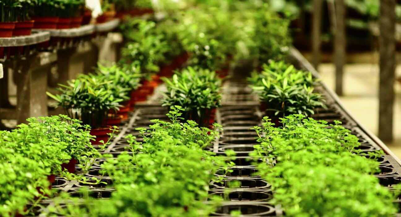 Vive Crop Protection raises $10M in oversubscribed round led by FCC Capital to scale its agtech innovations across North America.